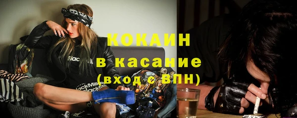 дживик Арсеньев