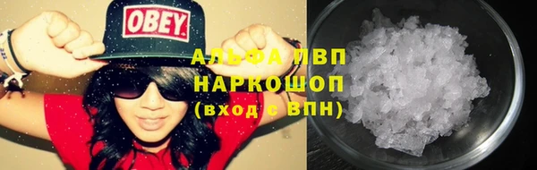 сатива Аркадак