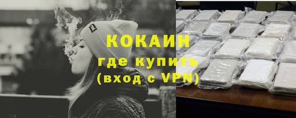 дживик Арсеньев