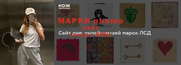 сатива Аркадак
