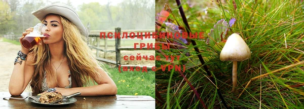 дживик Арсеньев