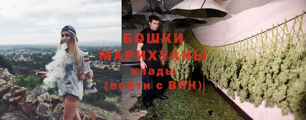 Альфа ПВП Новозыбков