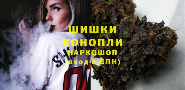 сатива Аркадак
