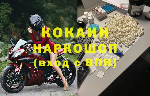 сатива Аркадак