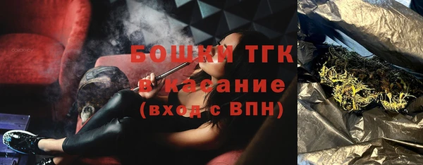 сатива Аркадак